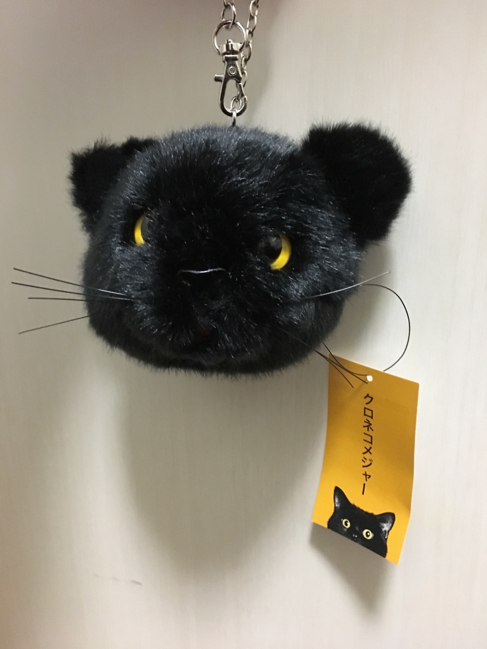 クロネコメジャー