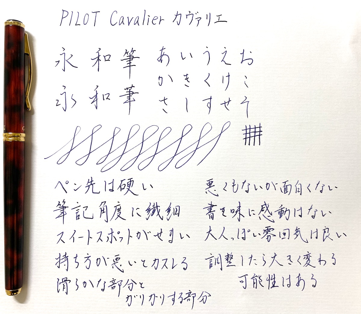 カヴァリエの書き味